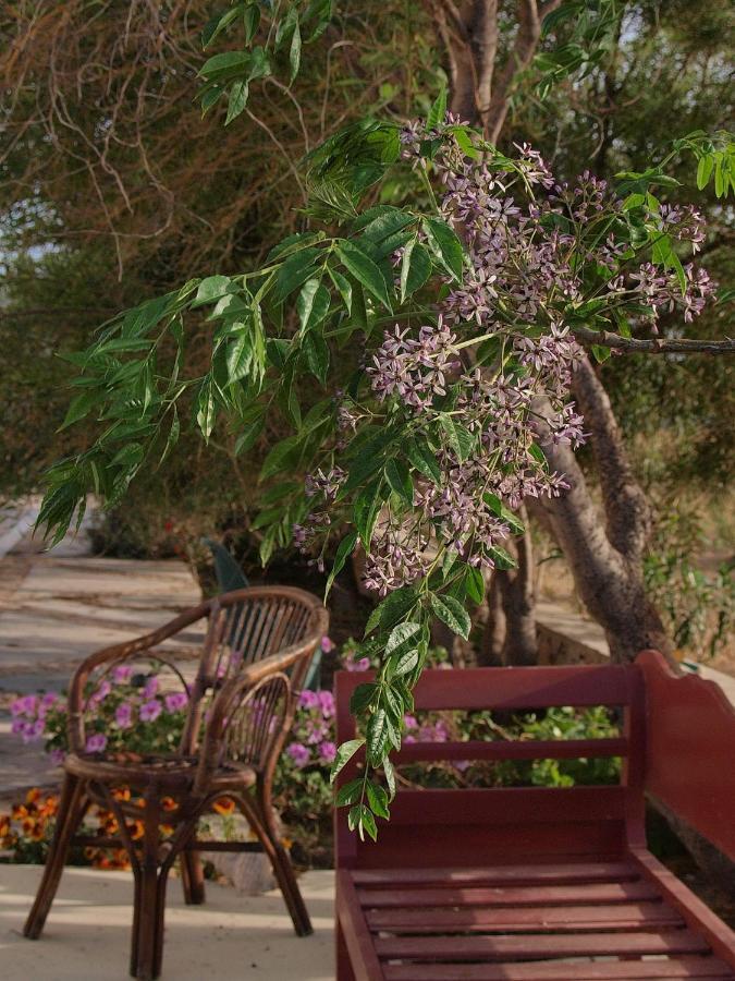 Flower And Crafts - The Eco Nature House مونوليثوس المظهر الخارجي الصورة