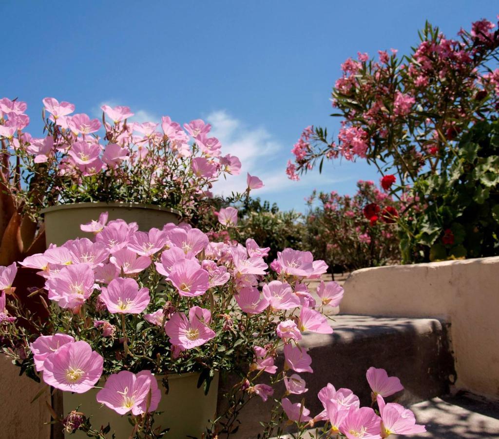 Flower And Crafts - The Eco Nature House مونوليثوس المظهر الخارجي الصورة